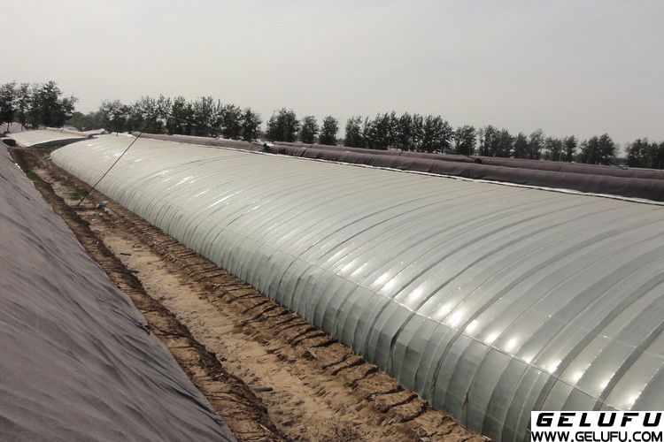 格鲁夫产品：减速机应用于农业种植行业