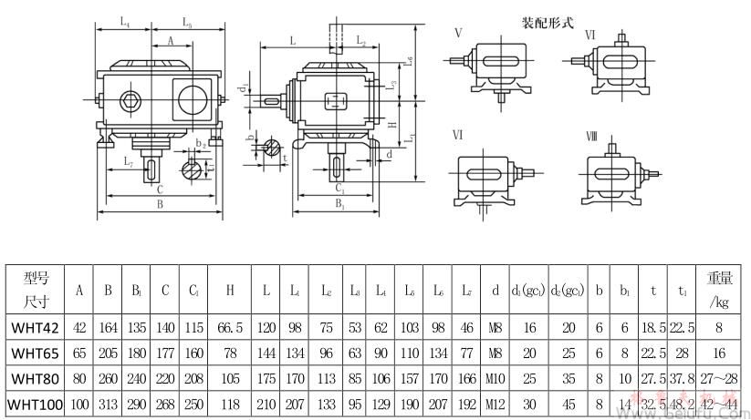 WHT42、WHT65、WHT80、WHT100型圓弧圓柱蝸杆減速機Ⅴ—Ⅷ式安裝型式及尺寸JB2318—79